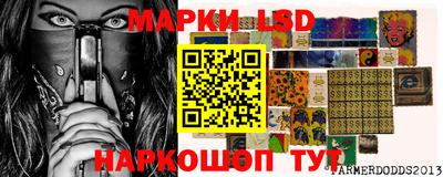 тгк Бийск