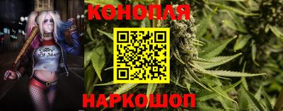 mdpv Аргун